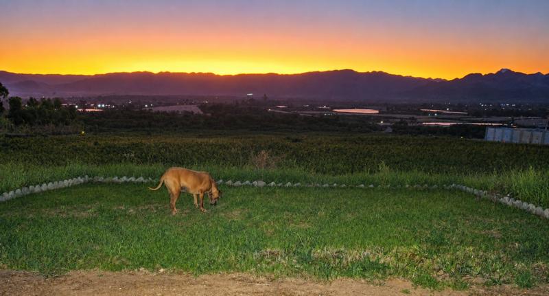 0 Bedroom Property for Sale in Riebeek Kasteel Western Cape